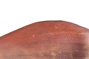 Reddish banana flower bract on png background isolated detail © BEST