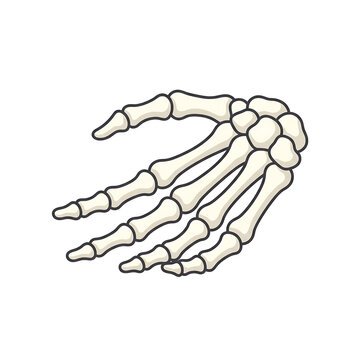 Skeletal hand anatomy cartoon vector illustration on transparent background