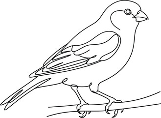 Fototapeta premium vector illustration of a bird