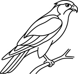 Obraz premium vector illustration of a parrot