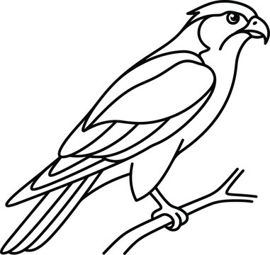 vector illustration of a parrot