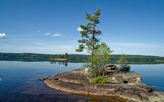Kleine Insel mit Kiefer im See Stora Gla. , Glaskogen Naturreservat in V&auml;rmland, Schweden