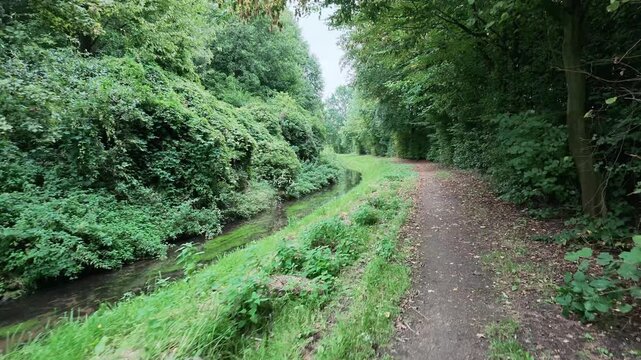 Walking along a path by a stream in a wooded area on an overcast day