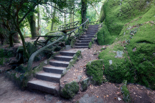 Moss-Covered Stone Stairway in the Forest at Bom Jesus do Monte, Braga