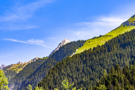 Mountain landscape with alpine forest and grassy slopes under blue sky, Austria, Tyrol, Lech Valley near Holzgau, 27 June 2026