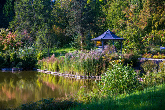 Berlin, Germany, Botanical garden. A wooden gazebo beside calm pond surrounded by lush green trees and tall reeds.