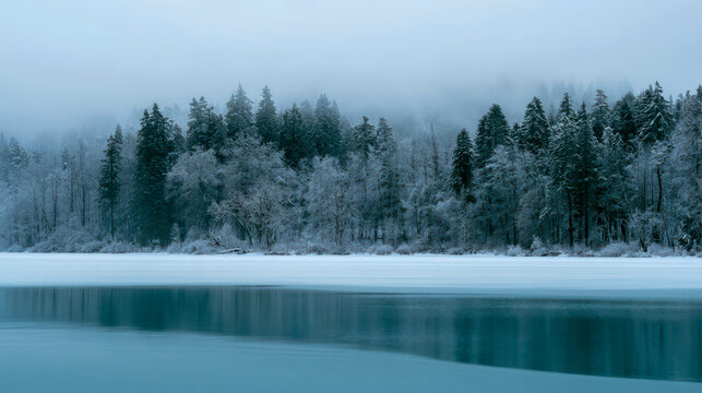 Serene winter landscape with snow-covered pine forest reflecting in calm frozen lake on misty day