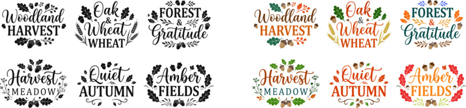 Collection of decorative hand drawn typography quotes featuring floral elements and inspirational phrases for greeting cards posters and creative design projects