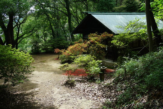 2026年夏の岡山県、緑と自然の多い寺の境内