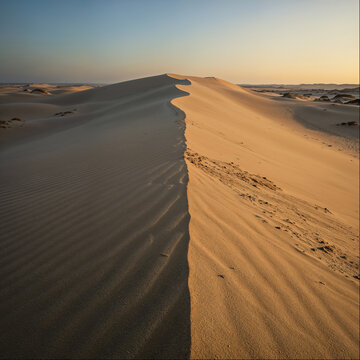 Sharp dune ridge dividing light and shadow in a desert at dawn