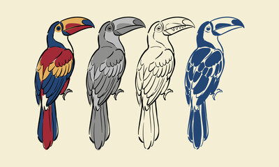 Fototapeta premium Artistic set of four toucan bird illustrations in various styles and colors for graphic design.