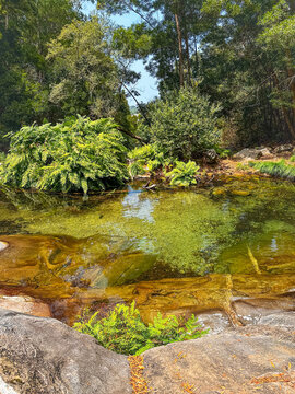 Crystal clear waters of Po&ccedil;o Azul in Afife Portugal surrounded by vibrant green ferns lush forest trees and smooth rocks on a bright sunny day