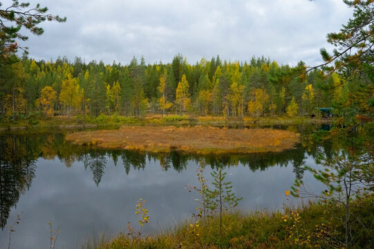 Landscape with a quiet forest lake and autumn forest