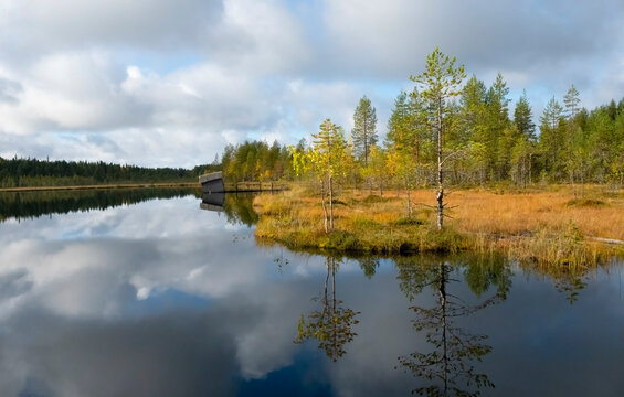 A landscape with a calm mirrored lake and an autumn forest
