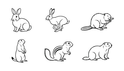 Obraz premium Set of hand drawn monochrome animal illustrations depicting various small
