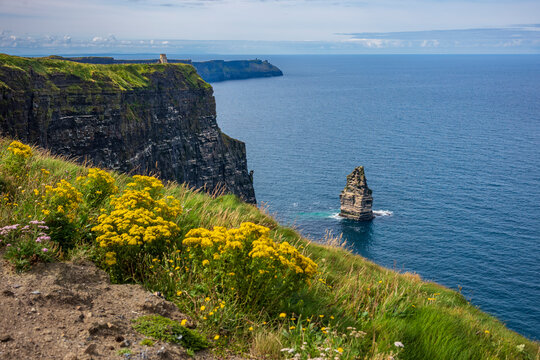 The Vast Landscape of Cliffs of Moher