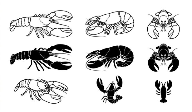 Black and white collection of lobsters, crayfish and small crustaceans, different poses and silhouettes, vintage scientific illustration, isolated white background.