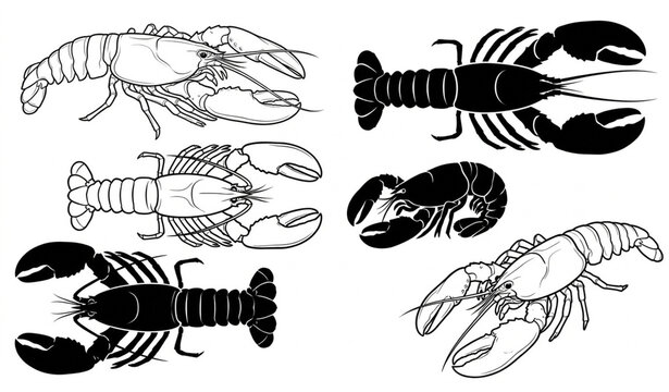 Black and white lobster and crayfish silhouette collection, several lobster poses and anatomical illustrations, vintage scientific engraving style, isolated white background.