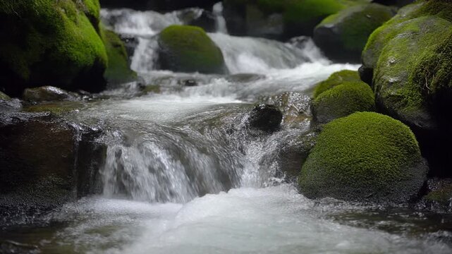 Lush green moss embraces weathered stones as a vibrant forest stream cascades over rocks, creating a serene and refreshing natural scene perfect for meditation and outdoor exploration