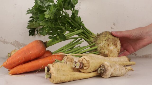 hand put celery carrot pasnip roots on ligt surface harvest concept