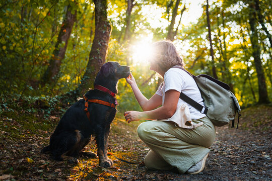 A woman with a backpack kneeling and training her black dog on a forest trail with sunlight filtering through the trees