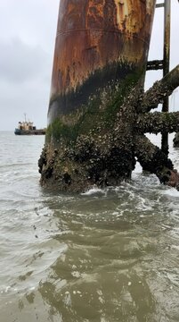 Vertical view of rusted barnacled wind turbine column at shoreline with tugboat in distance for rugged texture background and offshore energy documentation