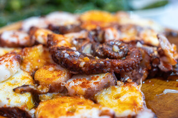 Traditional galician octopus - pulpo a la gallega - serving, high in protein and rich in vital minerals and b12 vitamin © Nuria Gonzalez Sanch