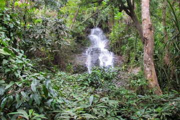 Tropical jungle waterfall in Thailand surrounded by lush green rainforest, moss-covered rocks, dense vegetation, and flowing water. The natural cascade creates a peaceful and refreshing scene © Yuliia