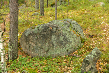 Large mossy granite boulder in a Nordic pine forest © Михаил Шорохов
