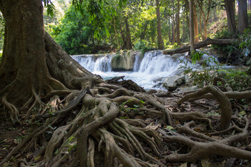 Tropical jungle waterfall in Thailand surrounded by lush green rainforest, moss-covered rocks, dense vegetation, and flowing water. The natural cascade creates a peaceful and refreshing scene © Yuliia
