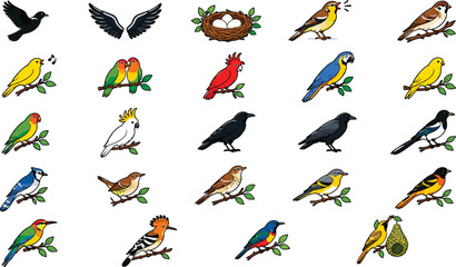 Obraz premium Collection of various colorful bird species illustrations