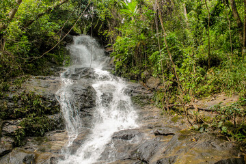 Tropical jungle waterfall in Thailand surrounded by lush green rainforest, moss-covered rocks, dense vegetation, and flowing water. The natural cascade creates a peaceful and refreshing scene © Yuliia