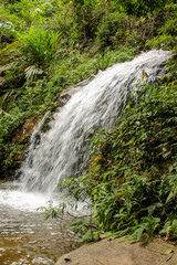 Tropical jungle waterfall in Thailand surrounded by lush green rainforest, moss-covered rocks, dense vegetation, and flowing water. The natural cascade creates a peaceful and refreshing scene © Yuliia