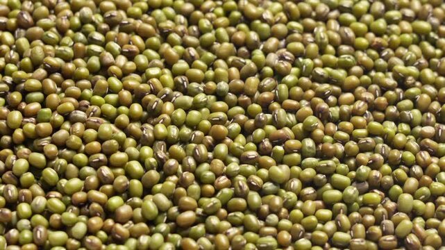Close-up of dried green mung beans scattered in bulk, natural texture and color variation for food ingredient photography