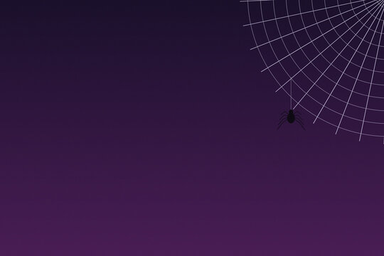 Minimalist spider web with a hanging spider over dark purple gradient background design