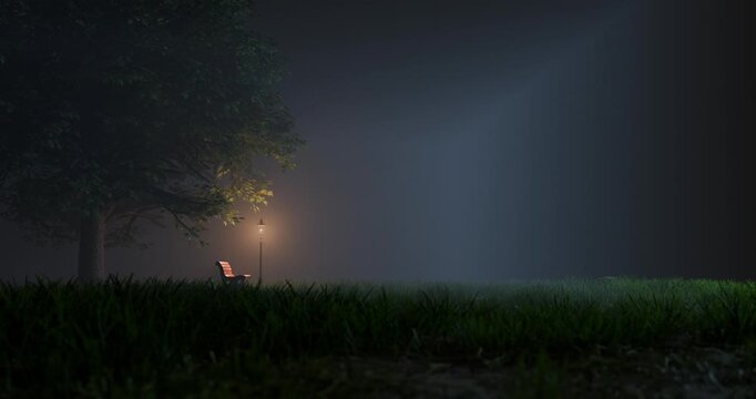 Shaky handheld camera pov running through dark foggy grass field towards empty park bench under large tree