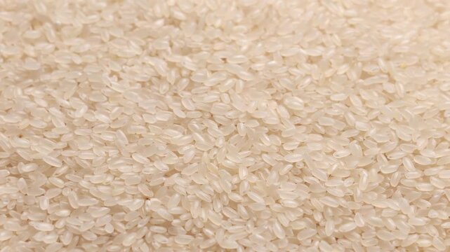 Close-up of uncooked short-grain white rice grains, high-resolution macro texture for food packaging and culinary content
