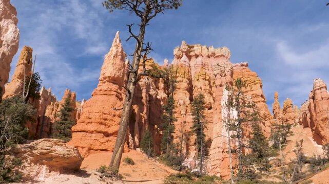 Slow camera movement tilting up reveals the famous red rock hoodoos formations in bryce canyon national park utah. Sunny day with a beautiful blue sky and light clouds