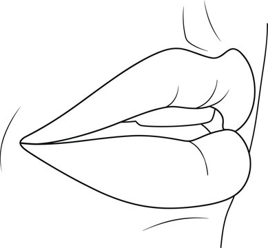 Detailed black and white line art vector illustration of a womans lips side profile