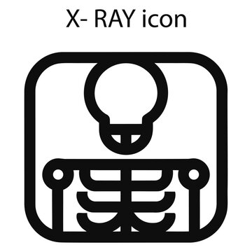 Human skeleton skull chest x-ray scan radiology icon vector