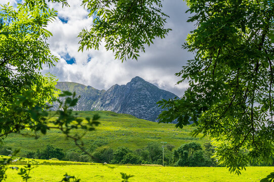 Le pic Devils Punch Bowl vu &agrave; travers des arbres sous un ciel  nuageux depuis Sannox, &icirc;le d'Arran, Ecosse