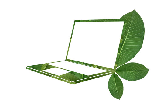 Green leaf laptop screen with circuit pattern eco concept