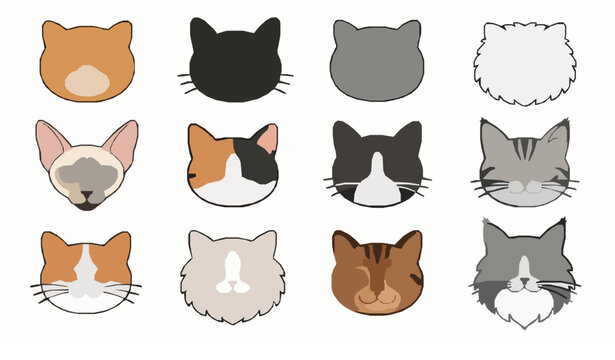 Cute cat breed head vector set with colorful cartoon faces and flat character designs