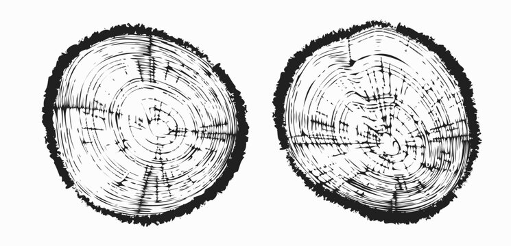Tree trunk cut texture, wood slice annual rings vector pattern