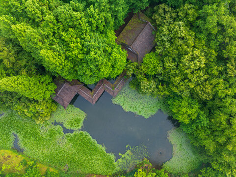 aerial view of traditional building surrounded by lush green trees and pond