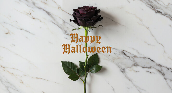 Black rose with "Happy Halloween" text on marble background  