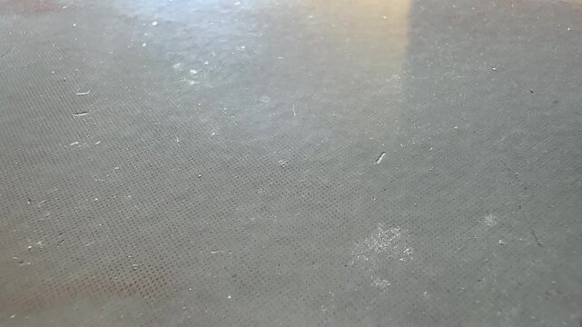 Several cockroaches lie overturned on the ground while another cockroach approaches and investigates, capturing natural insect behavior, pest infestation, movement, and interaction in a close-up view.
