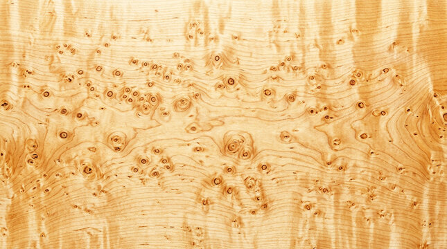 Natural Bird's Eye Maple Wood Texture Background with Unique Grain Patterns