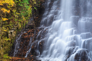 Fototapeta premium waterfall in autumn forest