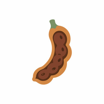 Single tamarind pod fruit vector illustration isolated on white background with organic brown tex.